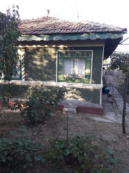 Micsunesti-Moara, Nuci.